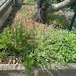 Holiday home Mirella Villalfonsina