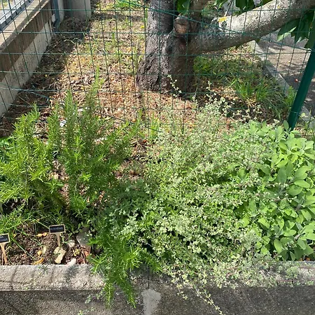 Holiday home Mirella Villalfonsina