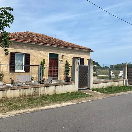 Mirella Villalfonsina