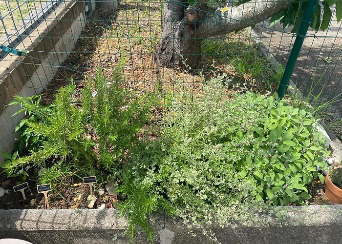 Casa vacanze Mirella Villalfonsina